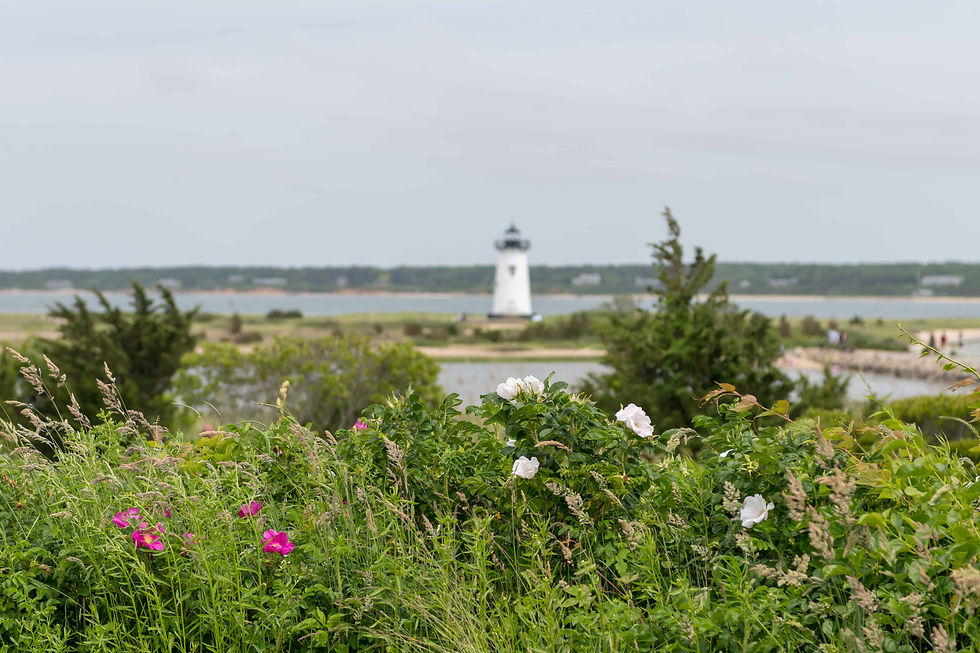 Martha's Vineyard